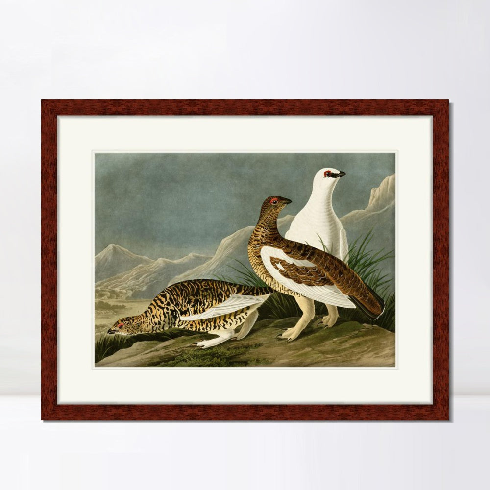 INVIN ART Framed Canvas Art Giclee Print Rock Grous by John James Audubon  Home Office Wall Art Decorations