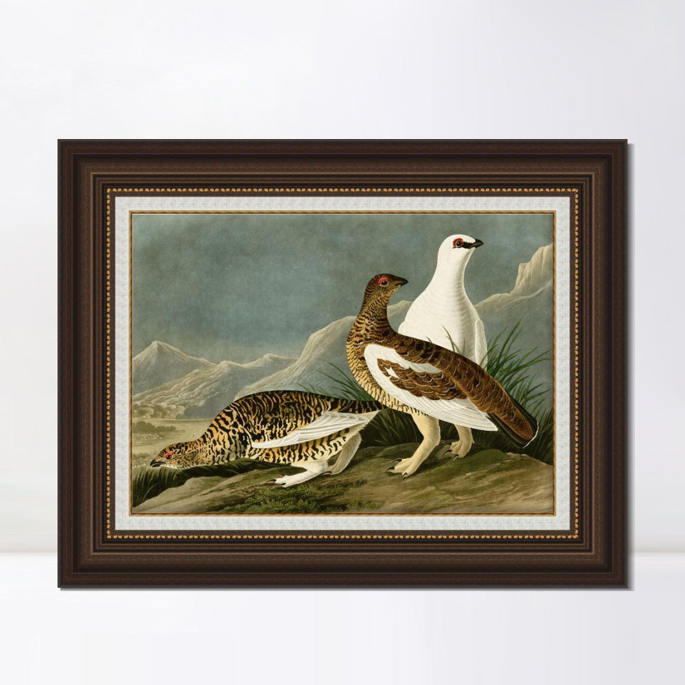 INVIN ART Framed Canvas Art Giclee Print Rock Grous by John James Audubon  Home Office Wall Art Decorations
