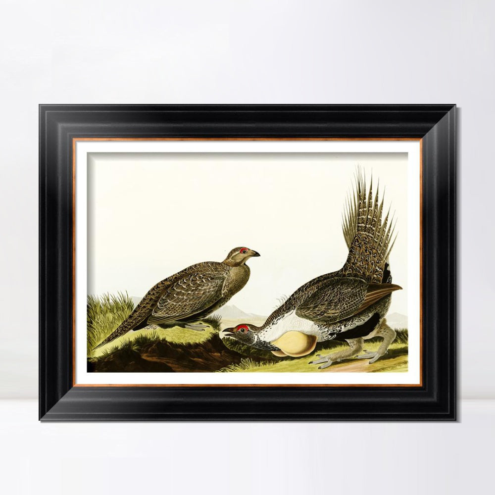 INVIN ART Framed Canvas Art Giclee Print Snow Goose by John James Audubon  Home Office Wall Art Decorations