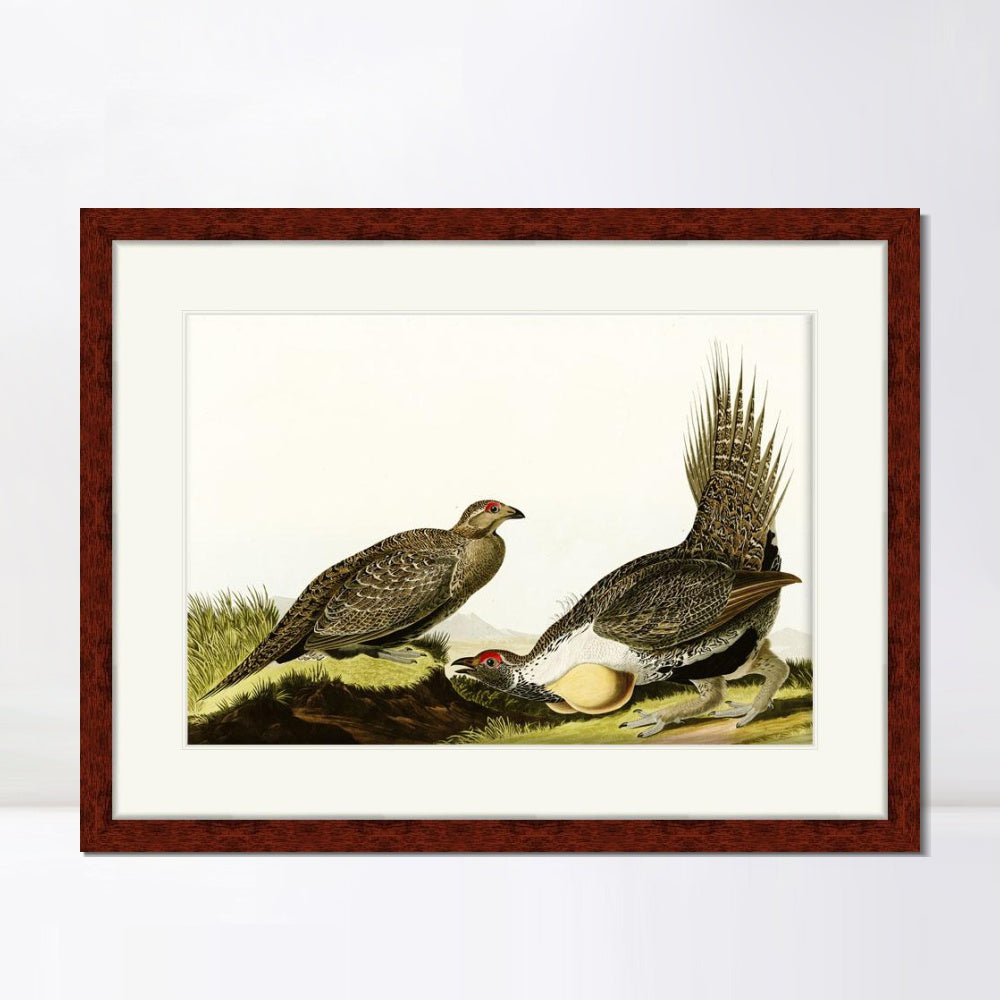 INVIN ART Framed Canvas Art Giclee Print Cock of The Plains by John James Audubon  Home Office Wall Art Decorations