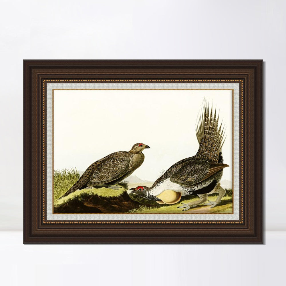 INVIN ART Framed Canvas Art Giclee Print Snow Goose by John James Audubon  Home Office Wall Art Decorations