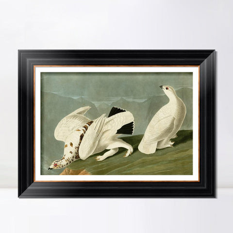 INVIN ART Framed Canvas Art Giclee Print White Tailed Grous by John James Audubon Living Room Home Office Wall Art Decorations