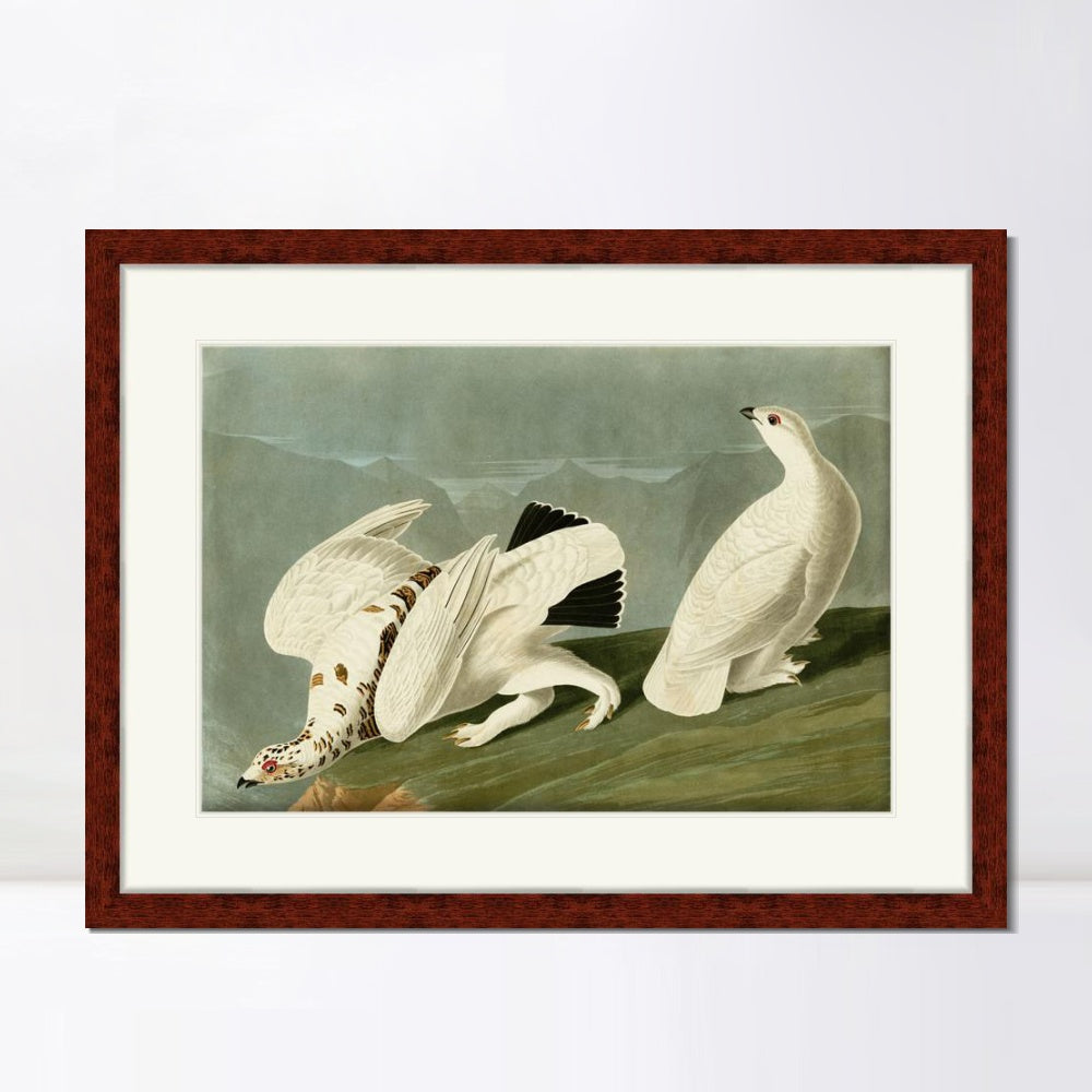 INVIN ART Framed Canvas Art Giclee Print White Tailed Grous by John James Audubon  Home Office Wall Art Decorations