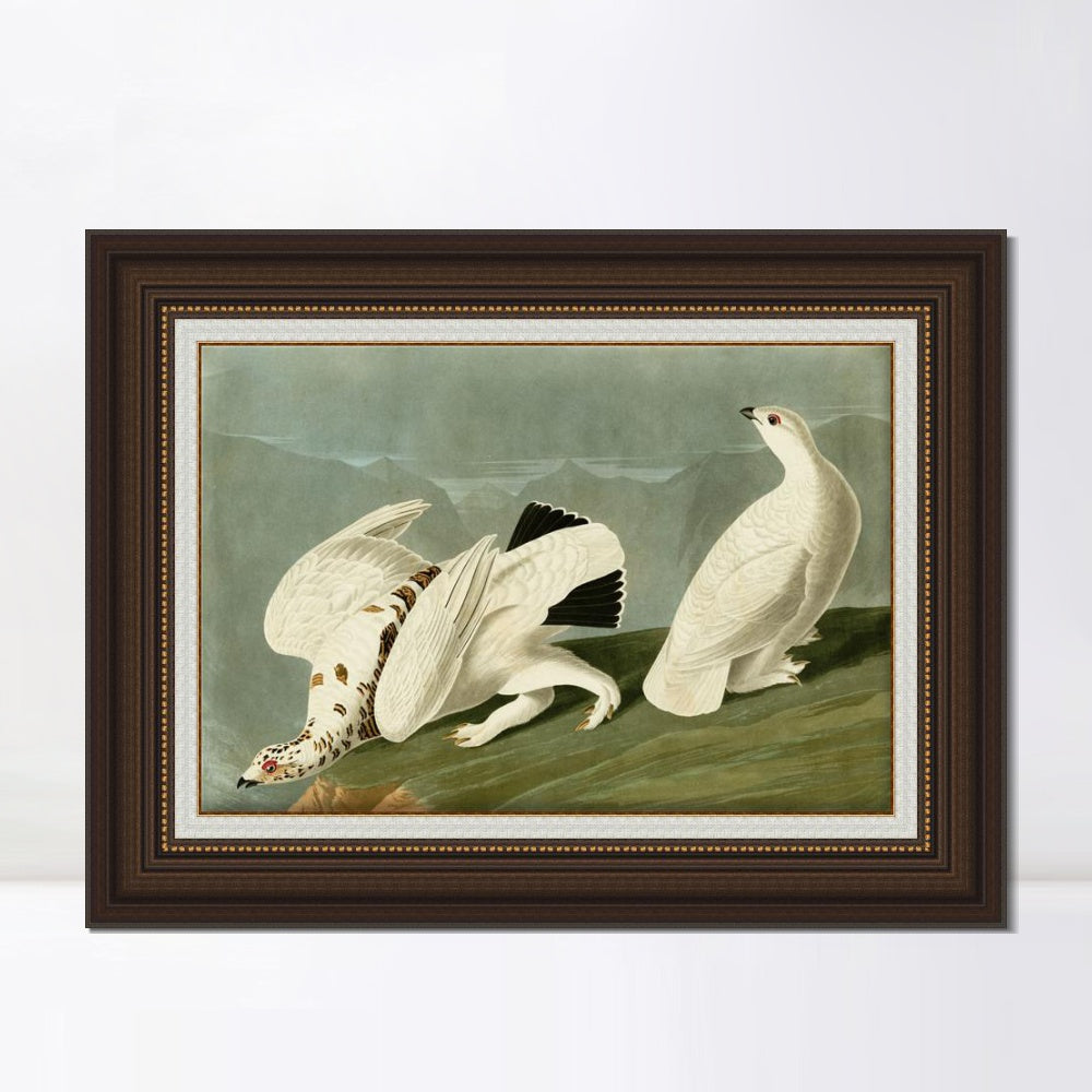 INVIN ART Framed Canvas Art Giclee Print White Tailed Grous by John James Audubon  Home Office Wall Art Decorations