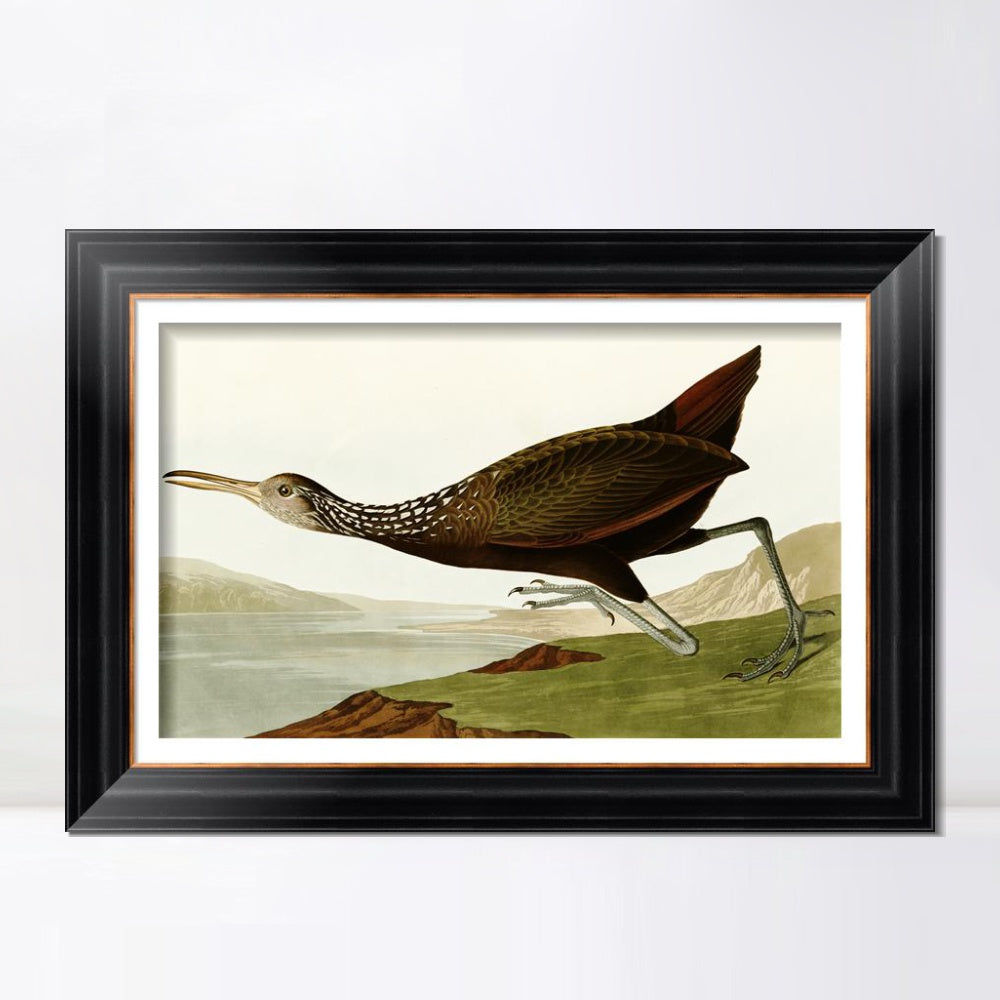 INVIN ART Framed Canvas Art Giclee Print Water Marsh Hen by John James Audubon  Home Office Wall Art Decorations