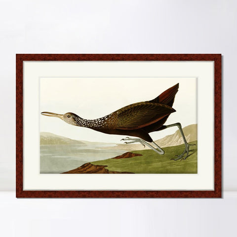 INVIN ART Framed Canvas Art Giclee Print Water Marsh Hen by John James Audubon Living Room Home Office Wall Art Decorations