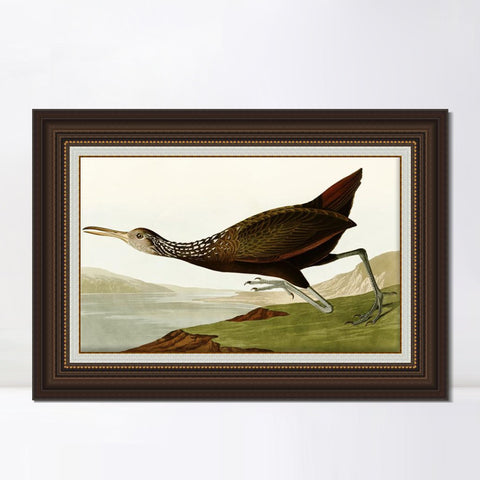 INVIN ART Framed Canvas Art Giclee Print Water Marsh Hen by John James Audubon Living Room Home Office Wall Art Decorations