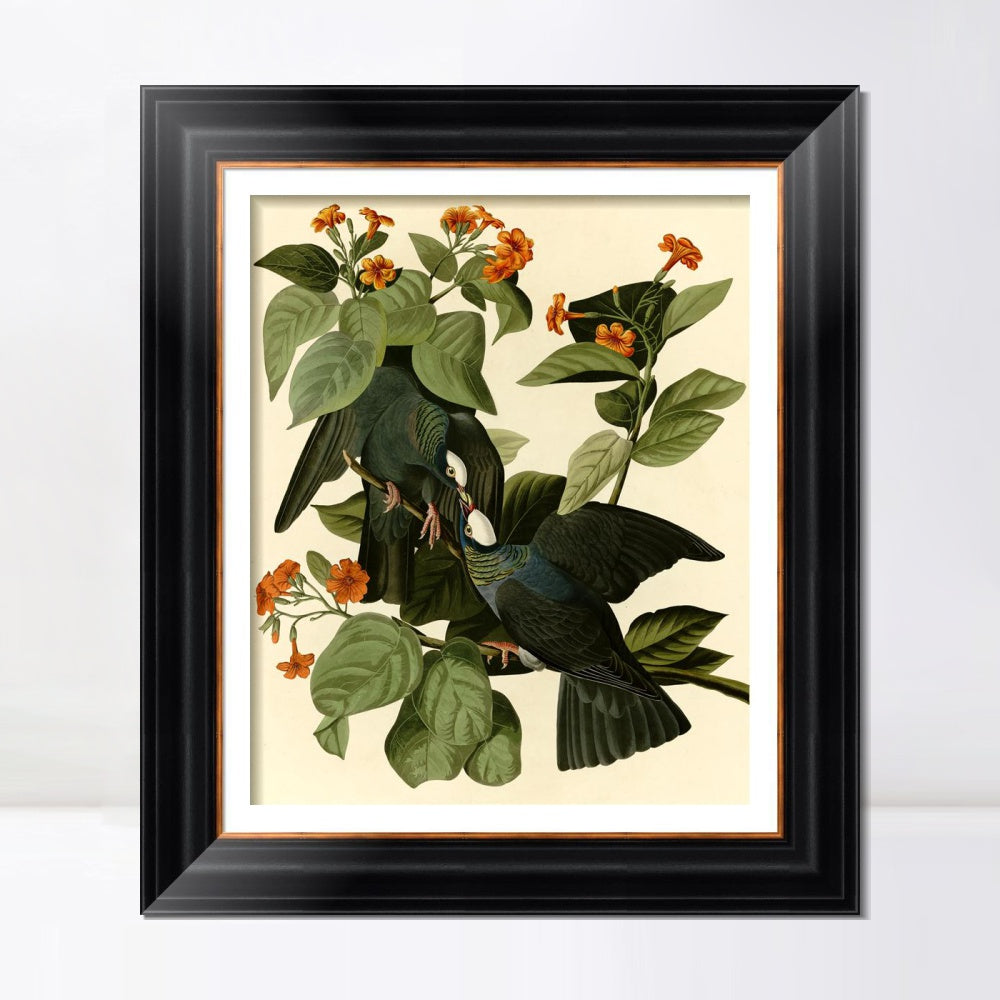 INVIN ART Framed Canvas Art Giclee Print Series#081 by John James Audubon  Home Office Wall Art Decorations