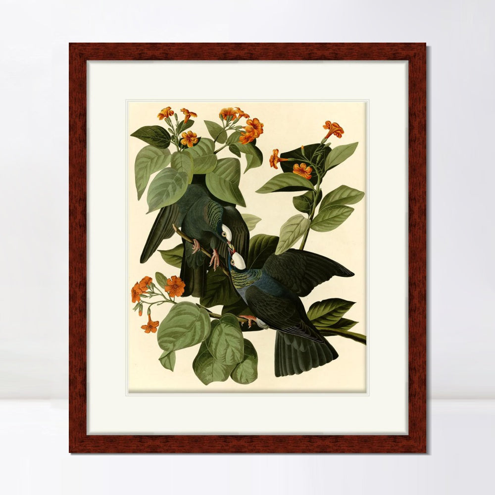 INVIN ART Framed Canvas Art Giclee Print Series#081 by John James Audubon  Home Office Wall Art Decorations