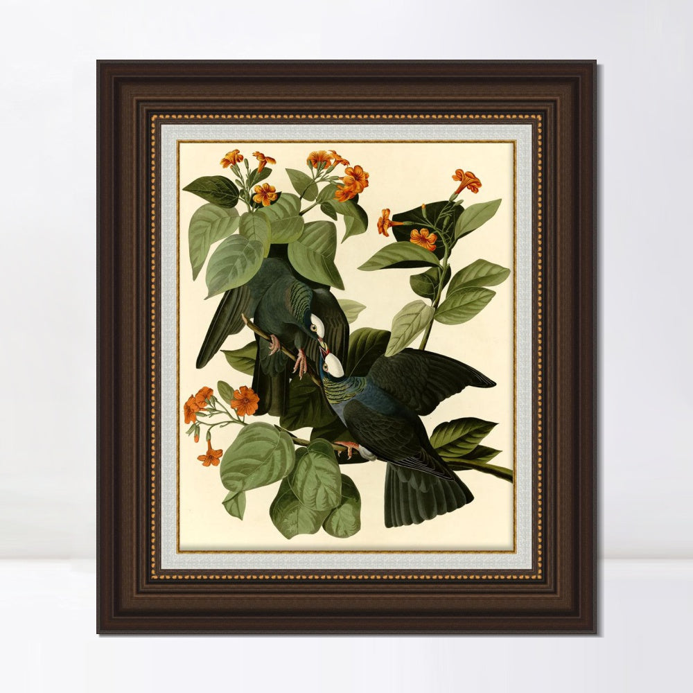 INVIN ART Framed Canvas Art Giclee Print Series#081 by John James Audubon  Home Office Wall Art Decorations
