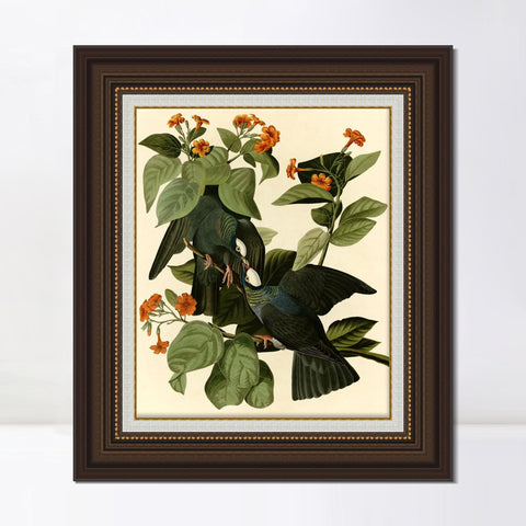 INVIN ART Framed Canvas Art Giclee Print Series#081 by John James Audubon Living Room Home Office Wall Art Decorations