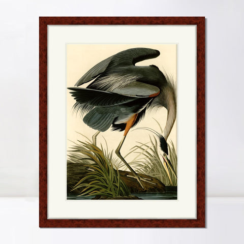 INVIN ART Framed Canvas Art Giclee Print Great Blue Heron by John James Audubon Living Room Home Office Wall Art Decorations