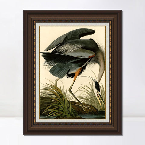 INVIN ART Framed Canvas Art Giclee Print Great Blue Heron by John James Audubon Living Room Home Office Wall Art Decorations