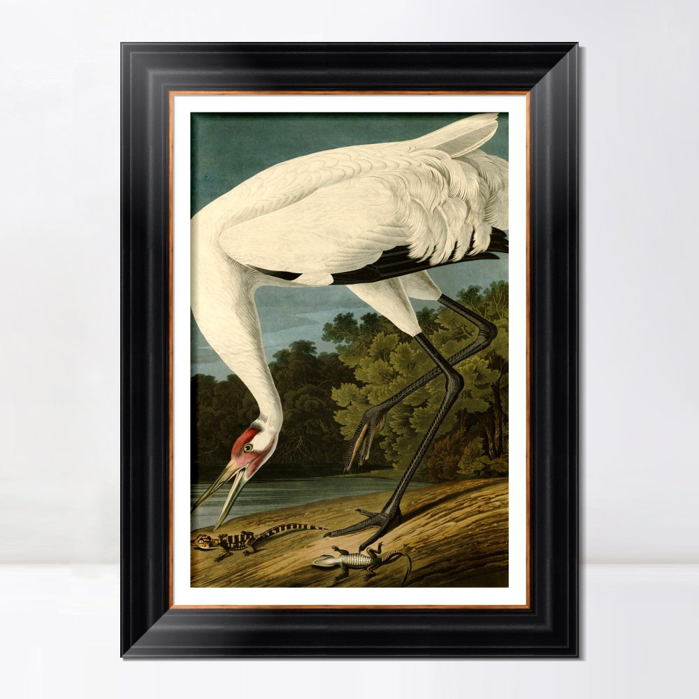 INVIN ART Framed Canvas Art Giclee Print Great White Heron#83 by John James Audubon  Home Office Wall Art Decorations