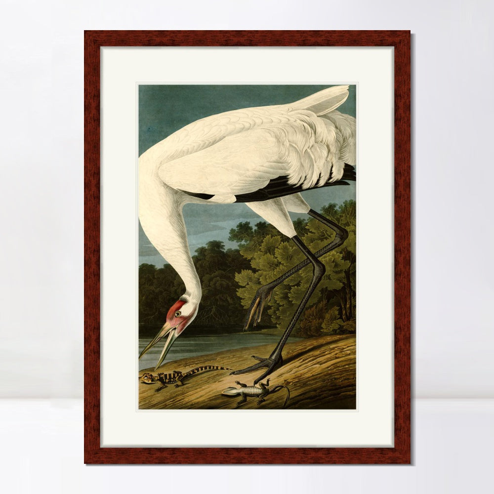INVIN ART Framed Canvas Art Giclee Print Great White Heron#83 by John James Audubon  Home Office Wall Art Decorations