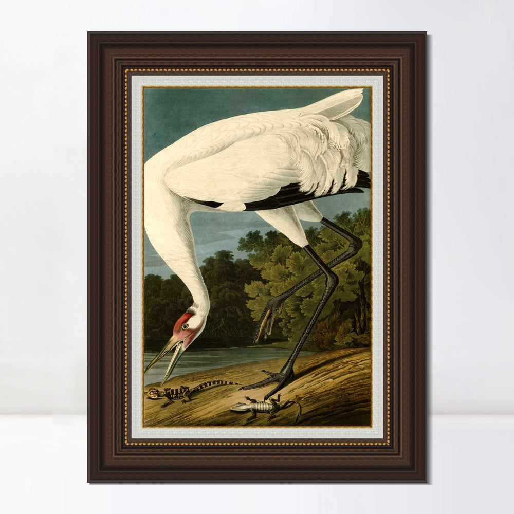 INVIN ART Framed Canvas Art Giclee Print Great White Heron#83 by John James Audubon  Home Office Wall Art Decorations