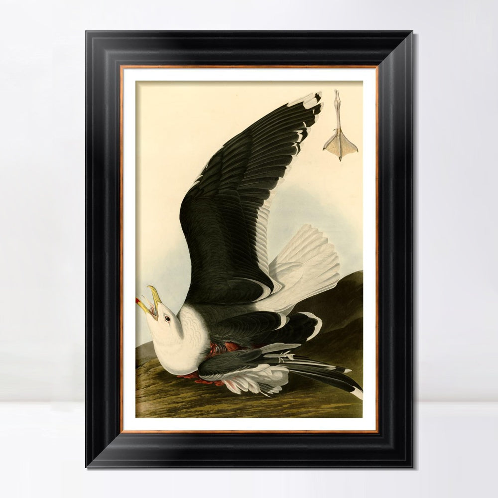 INVIN ART Framed Canvas Art Giclee Print Black Backed Gull by John James Audubon  Home Office Wall Art Decorations