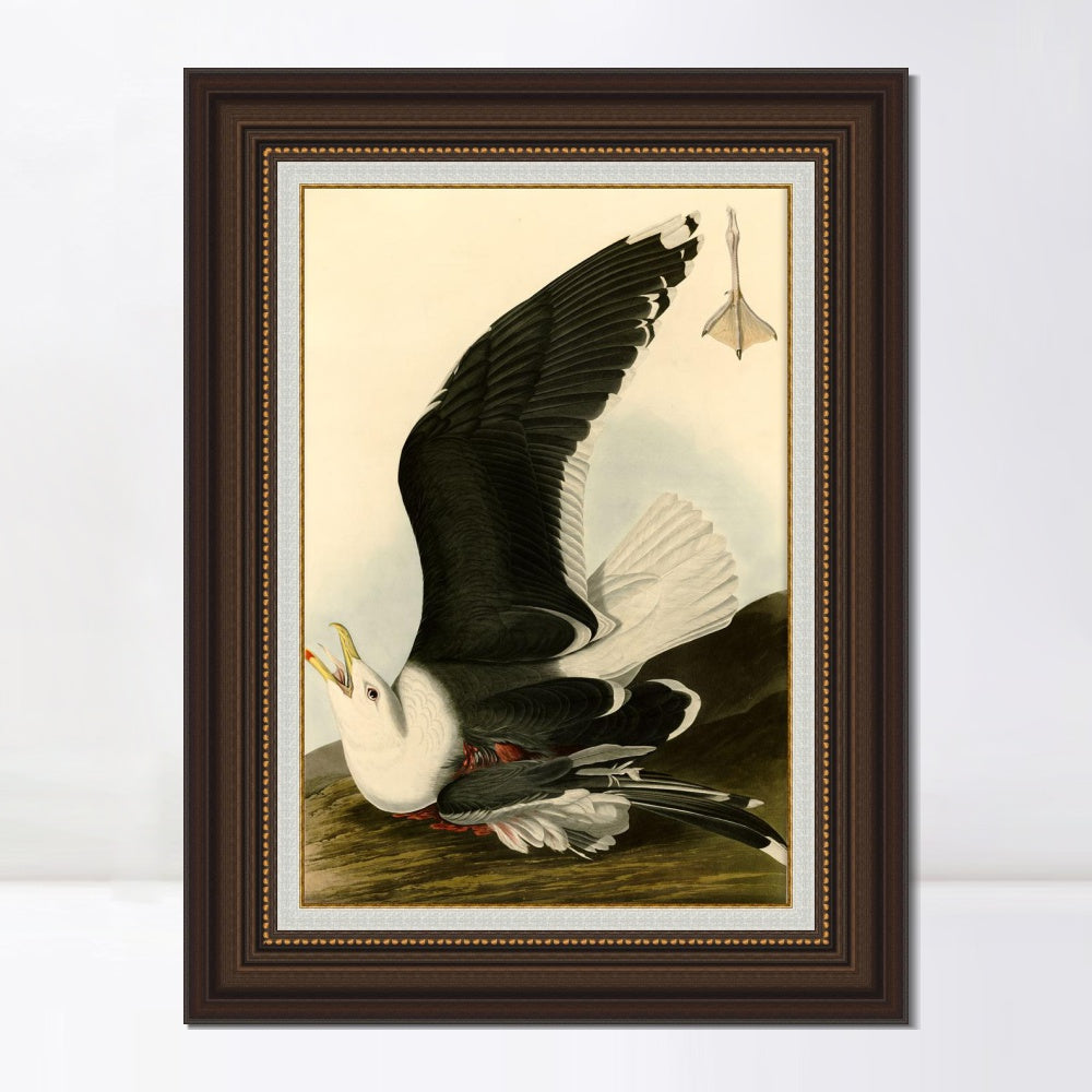 INVIN ART Framed Canvas Art Giclee Print Black Backed Gull by John James Audubon  Home Office Wall Art Decorations
