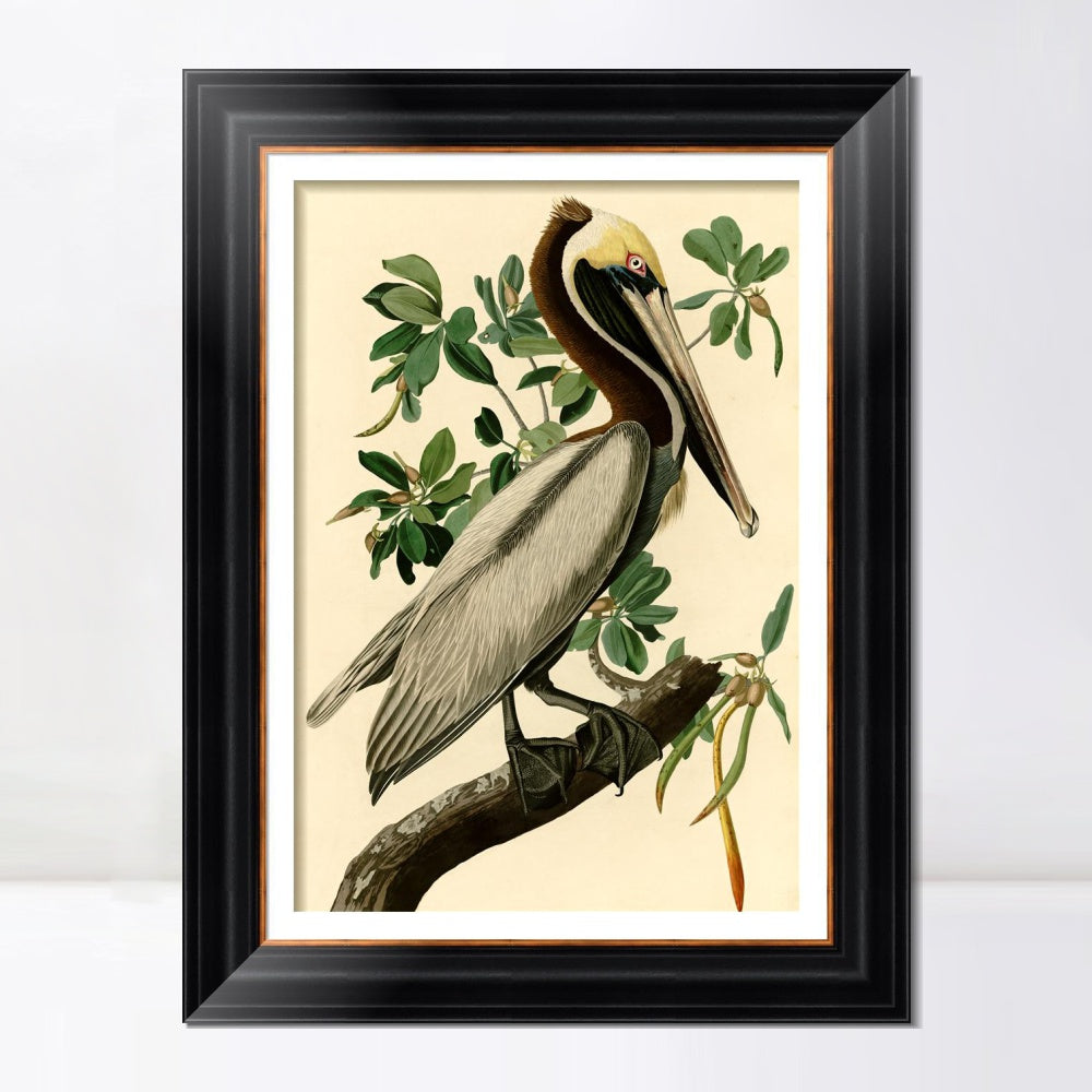 INVIN ART Framed Canvas Art Giclee Print Brown Pelican by John James Audubon  Home Office Wall Art Decorations