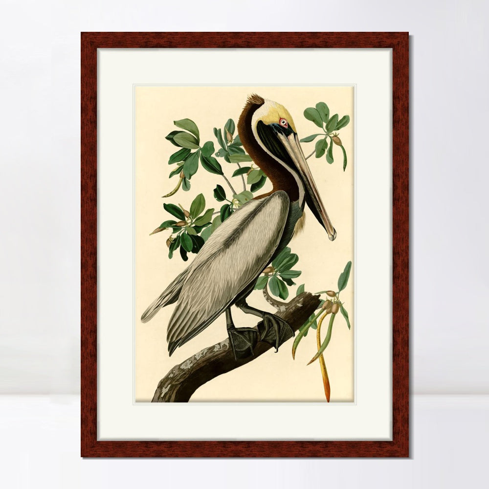 INVIN ART Framed Canvas Art Giclee Print Brown Pelican by John James Audubon  Home Office Wall Art Decorations