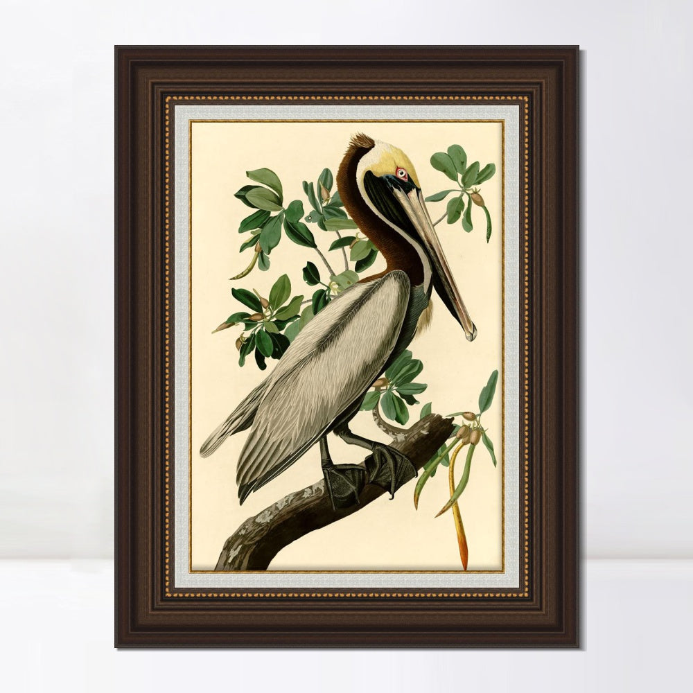 INVIN ART Framed Canvas Art Giclee Print Brown Pelican by John James Audubon  Home Office Wall Art Decorations