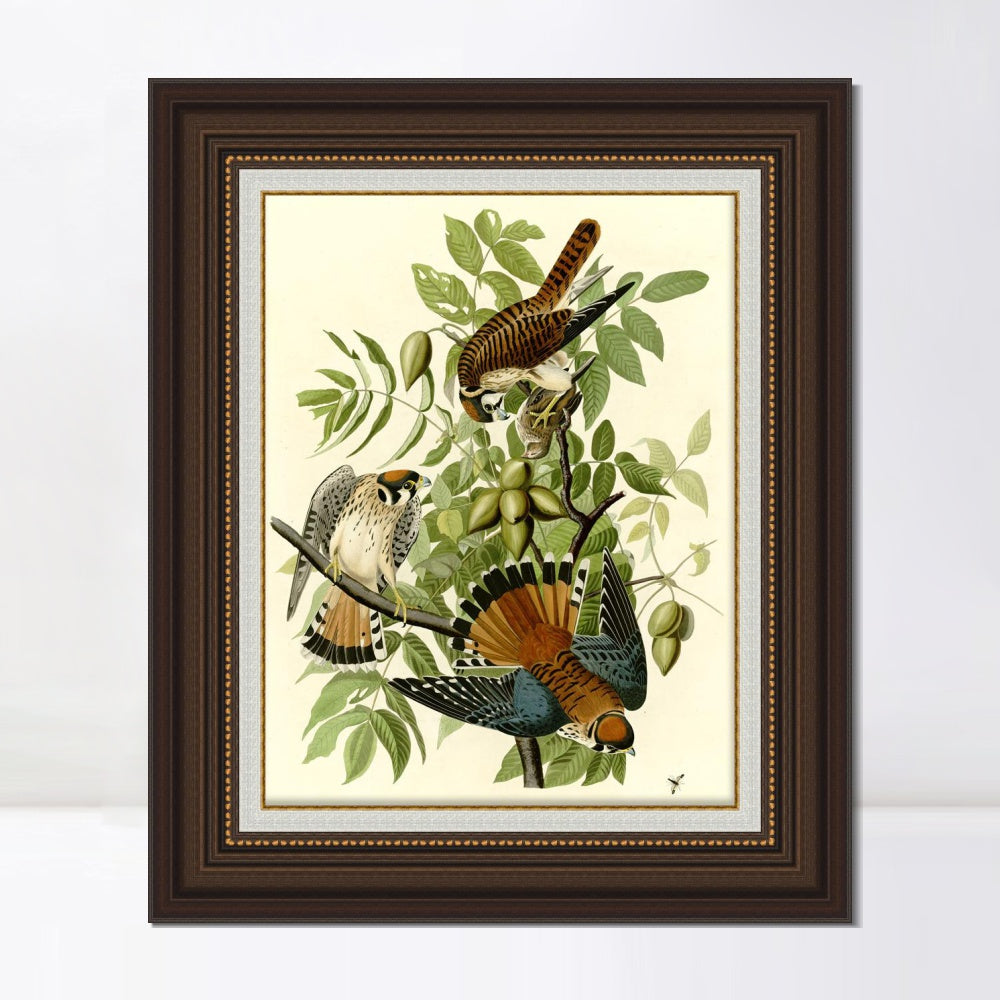 INVIN ART Framed Canvas Art Giclee Print Series#87 by John James Audubon  Home Office Wall Art Decorations
