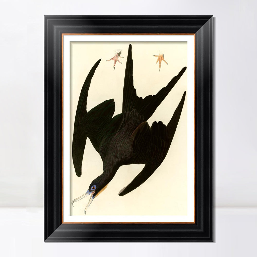 INVIN ART Framed Canvas Art Giclee Print Frigate Pelican by John James Audubon  Home Office Wall Art Decorations