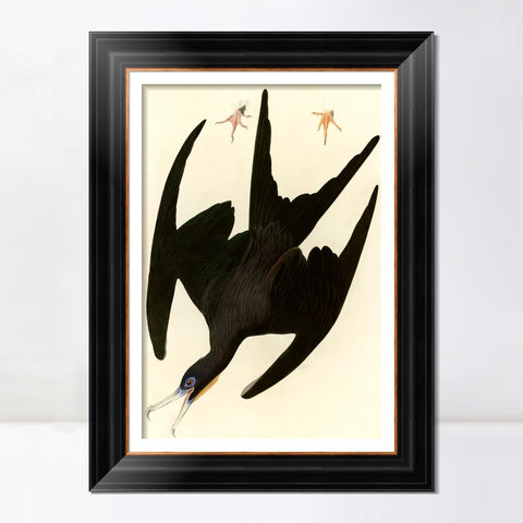 INVIN ART Framed Canvas Art Giclee Print Frigate Pelican by John James Audubon Living Room Home Office Wall Art Decorations