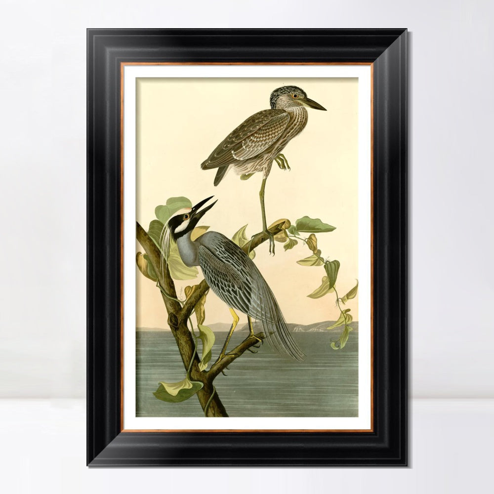 INVIN ART Framed Canvas Art Giclee Print Series#092 by John James Audubon  Home Office Wall Art Decorations