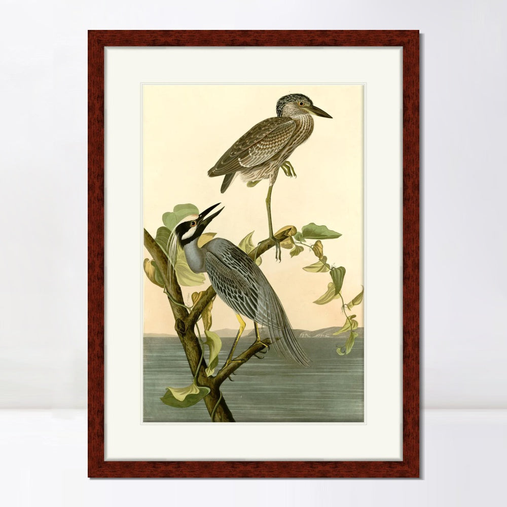 INVIN ART Framed Canvas Art Giclee Print Series#092 by John James Audubon  Home Office Wall Art Decorations