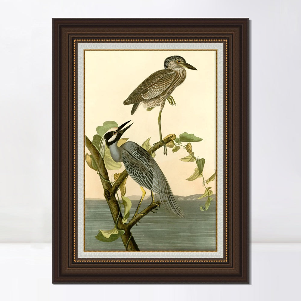 INVIN ART Framed Canvas Art Giclee Print Series#092 by John James Audubon  Home Office Wall Art Decorations