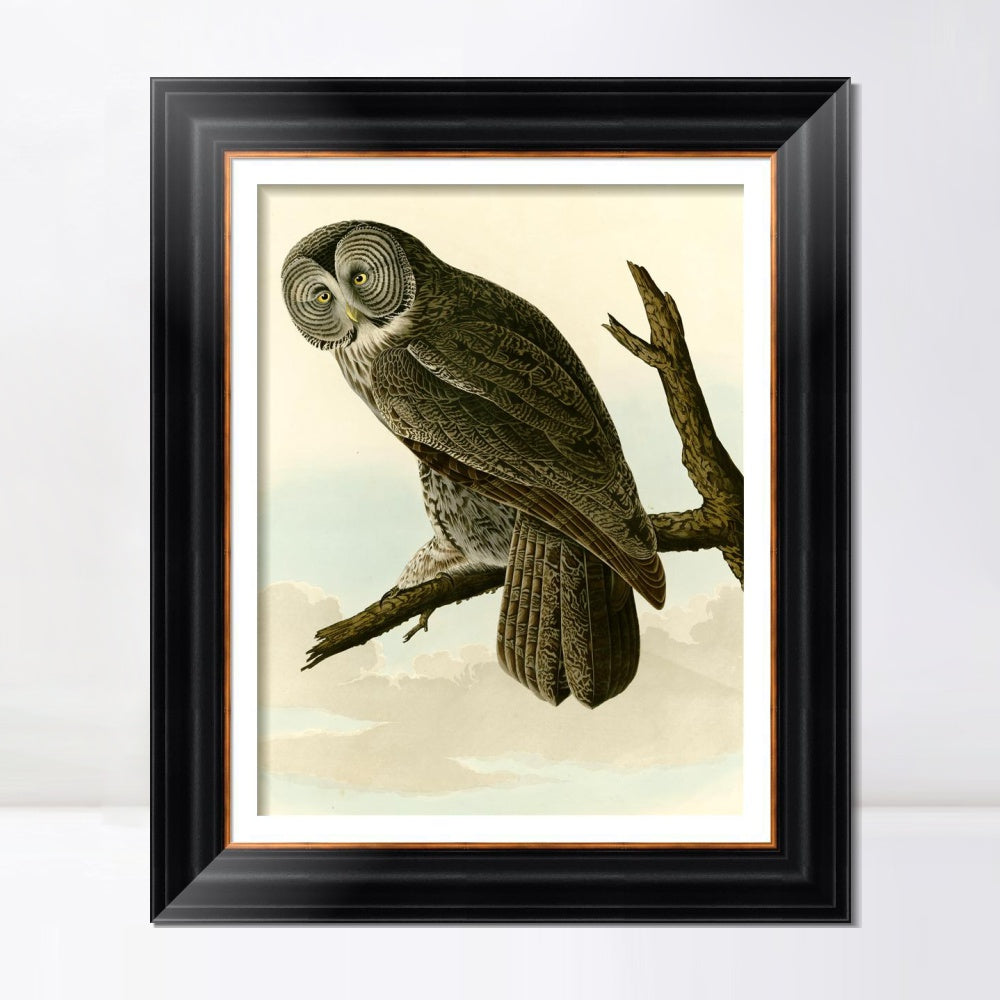 INVIN ART Framed Canvas Art Giclee Print Great Cinereous Owl by John James Audubon  Home Office Wall Art Decorations
