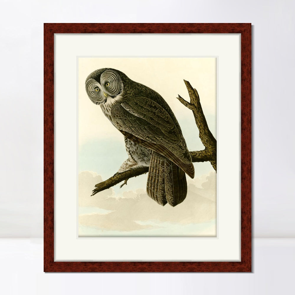 INVIN ART Framed Canvas Art Giclee Print Great Cinereous Owl by John James Audubon  Home Office Wall Art Decorations