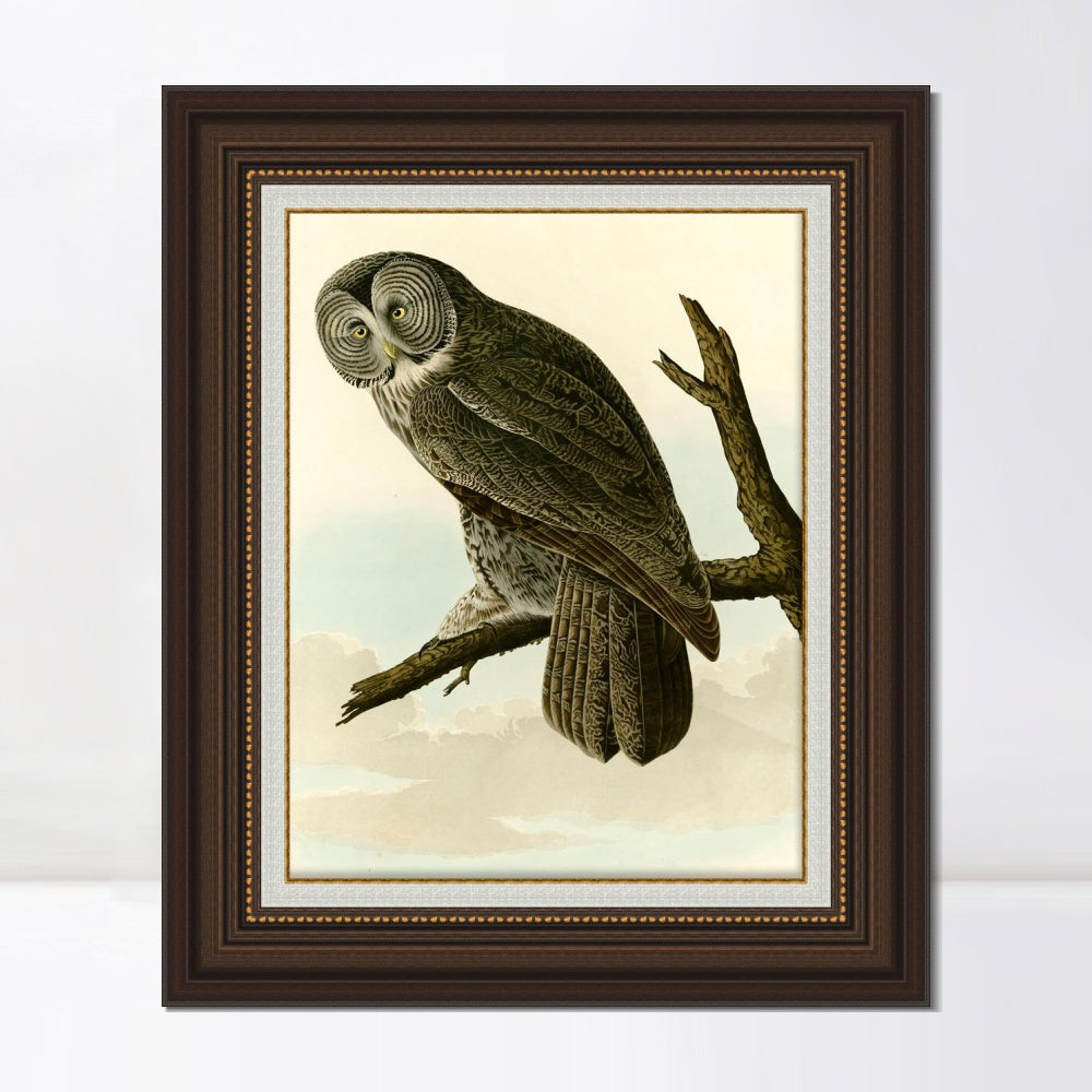 INVIN ART Framed Canvas Art Giclee Print Great Cinereous Owl by John James Audubon  Home Office Wall Art Decorations