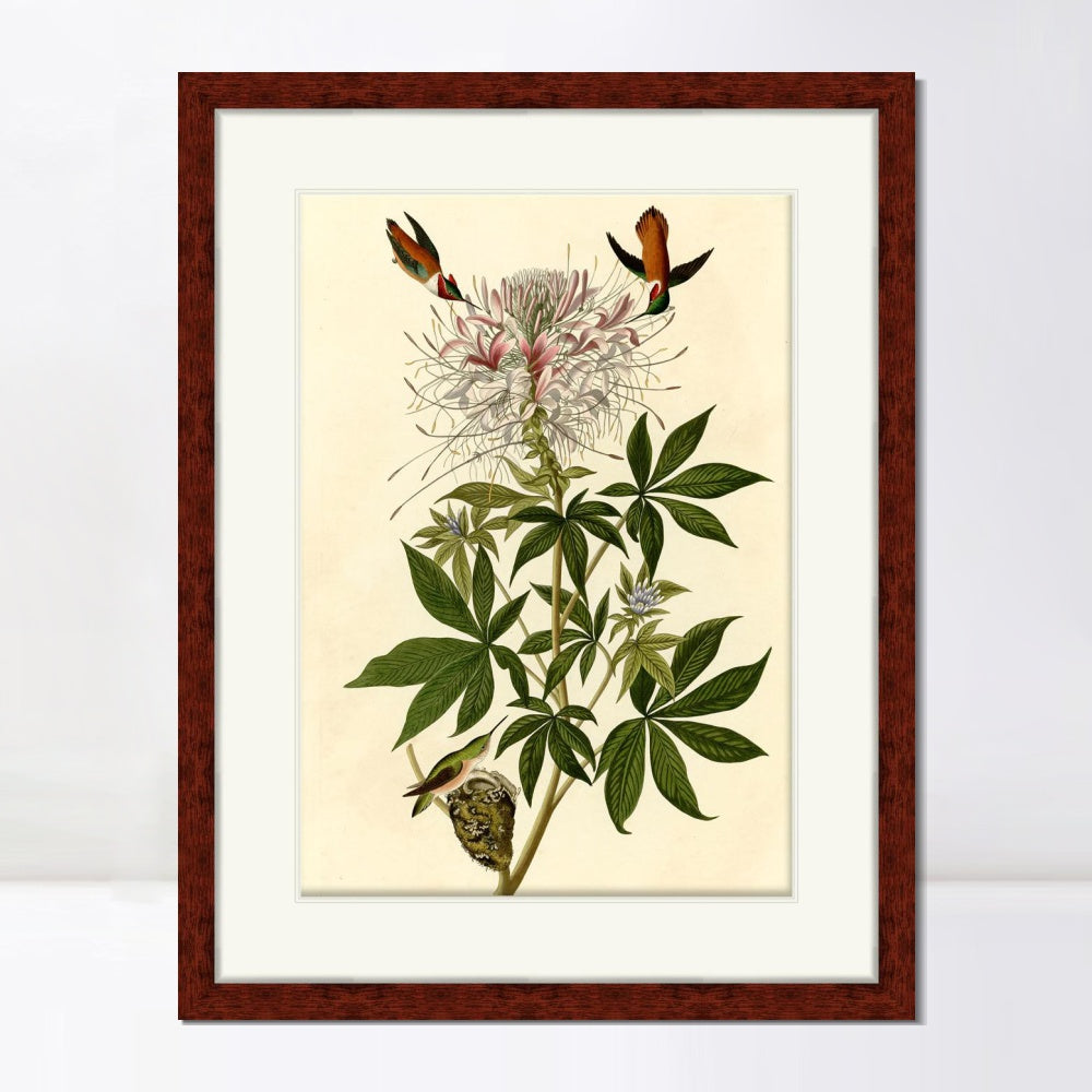 INVIN ART Framed Canvas Art Giclee Print Ruff necked Humming bird by John James Audubon  Home Office Wall Art Decorations