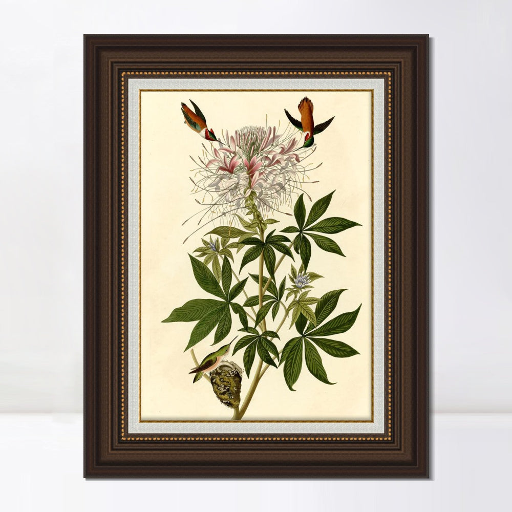 INVIN ART Framed Canvas Art Giclee Print Ruff necked Humming bird by John James Audubon  Home Office Wall Art Decorations