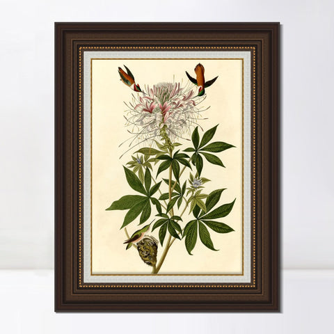INVIN ART Framed Canvas Art Giclee Print Ruff necked Humming bird by John James Audubon Living Room Home Office Wall Art Decorations
