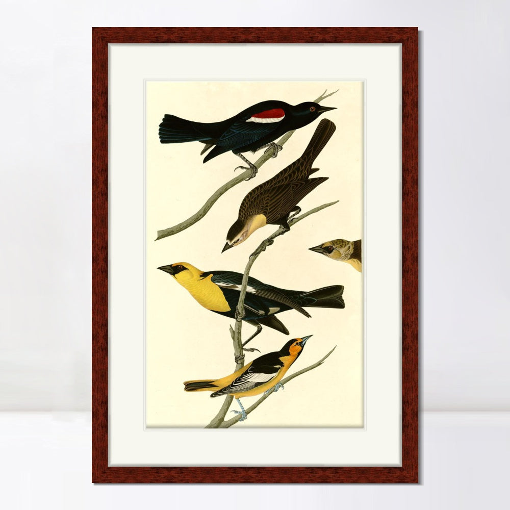 INVIN ART Framed Canvas Art Giclee Print Series#101 by John James Audubon  Home Office Wall Art Decorations
