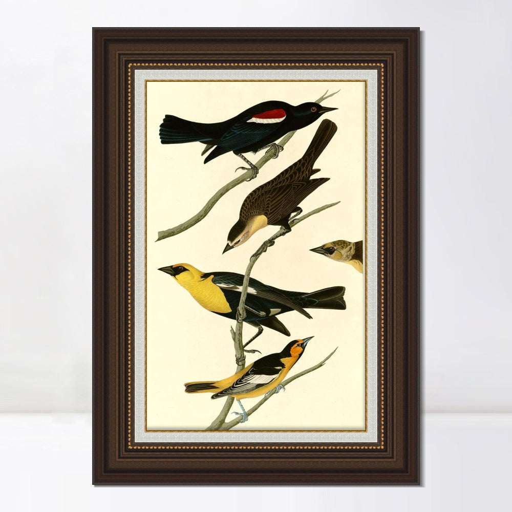 INVIN ART Framed Canvas Art Giclee Print Series#101 by John James Audubon  Home Office Wall Art Decorations