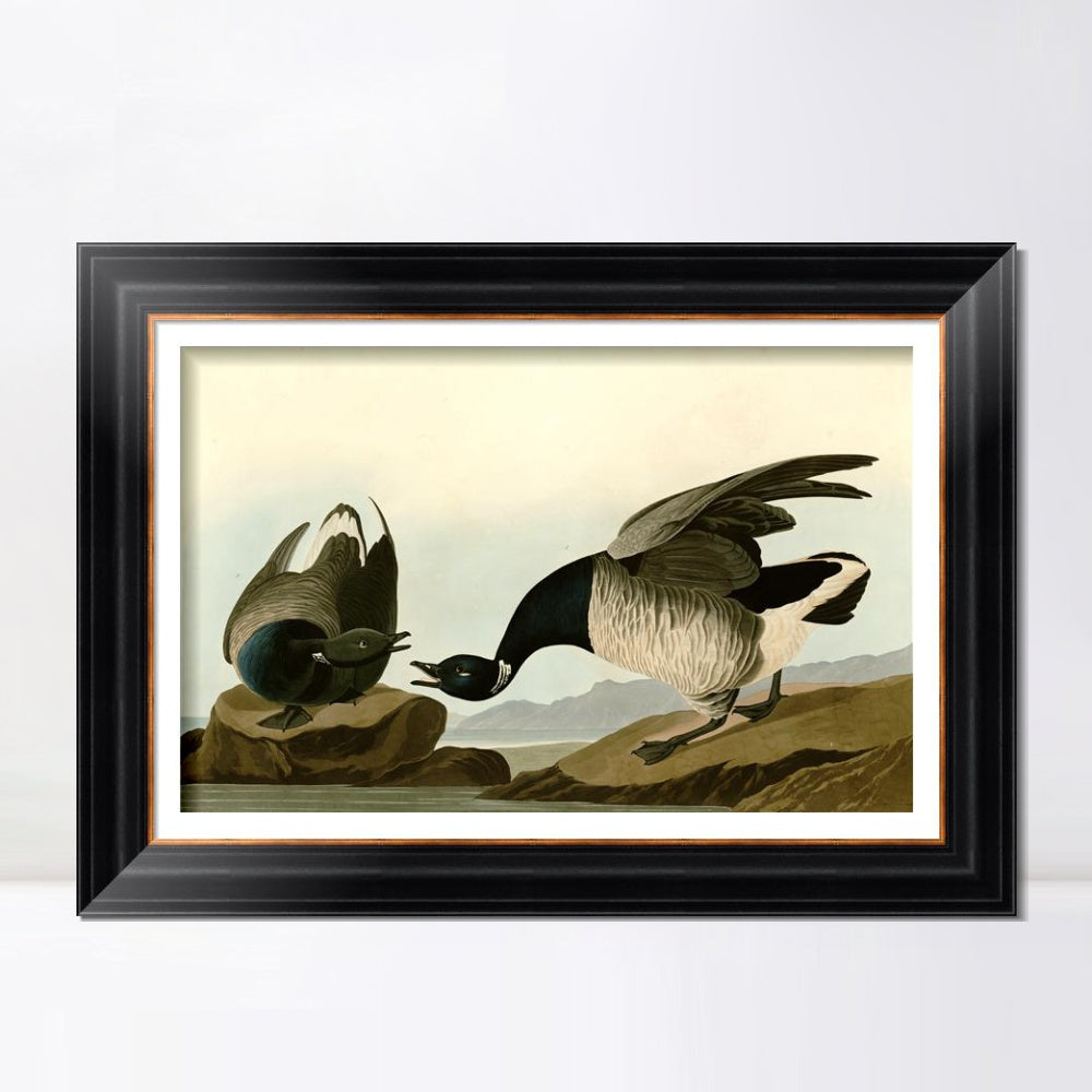 INVIN ART Framed Canvas Art Giclee Print Series#105 by John James Audubon  Home Office Wall Art Decorations