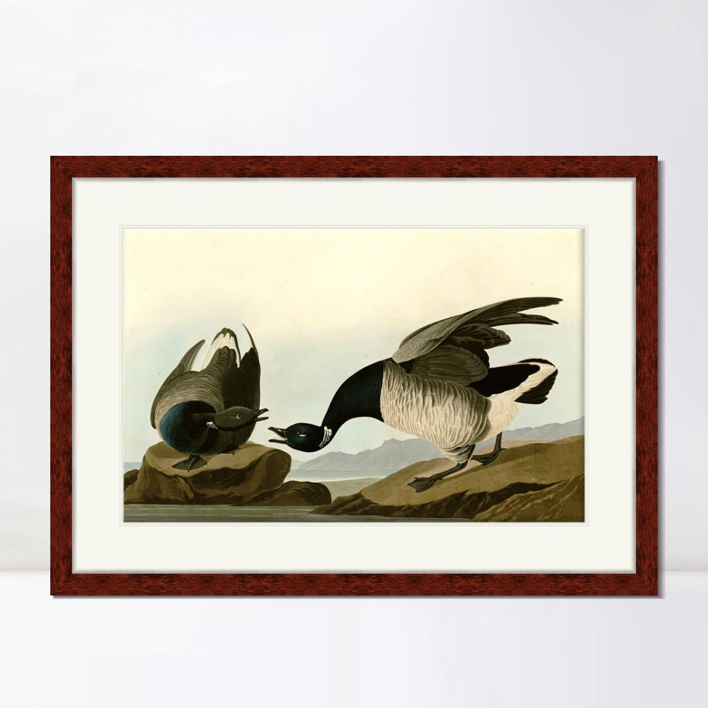 INVIN ART Framed Canvas Art Giclee Print Series#105 by John James Audubon  Home Office Wall Art Decorations