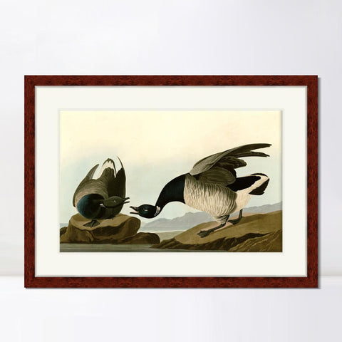INVIN ART Framed Canvas Art Giclee Print Series#105 by John James Audubon Living Room Home Office Wall Art Decorations