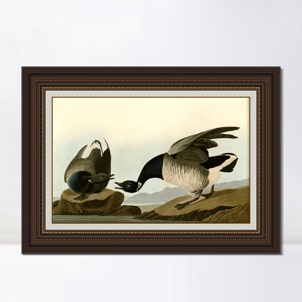 INVIN ART Framed Canvas Art Giclee Print Series#105 by John James Audubon  Home Office Wall Art Decorations