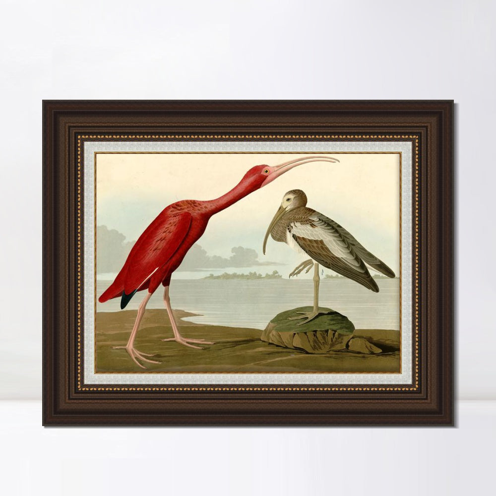 INVIN ART Framed Canvas Art Giclee Print Scarlet Ibis by John James Audubon  Home Office Wall Art Decorations