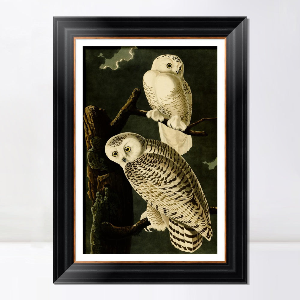 INVIN ART Framed Canvas Art Giclee Print Snowy Owl by John James Audubon  Home Office Wall Art Decorations