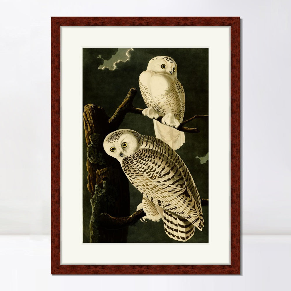 INVIN ART Framed Canvas Art Giclee Print Snowy Owl by John James Audubon  Home Office Wall Art Decorations