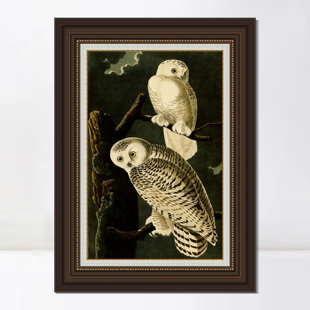 INVIN ART Framed Canvas Art Giclee Print Snowy Owl by John James Audubon  Home Office Wall Art Decorations
