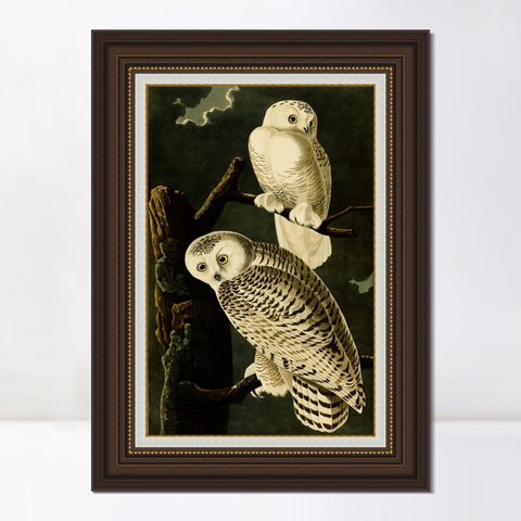 INVIN ART Framed Canvas Art Giclee Print Snowy Owl by John James Audubon Living Room Home Office Wall Art Decorations