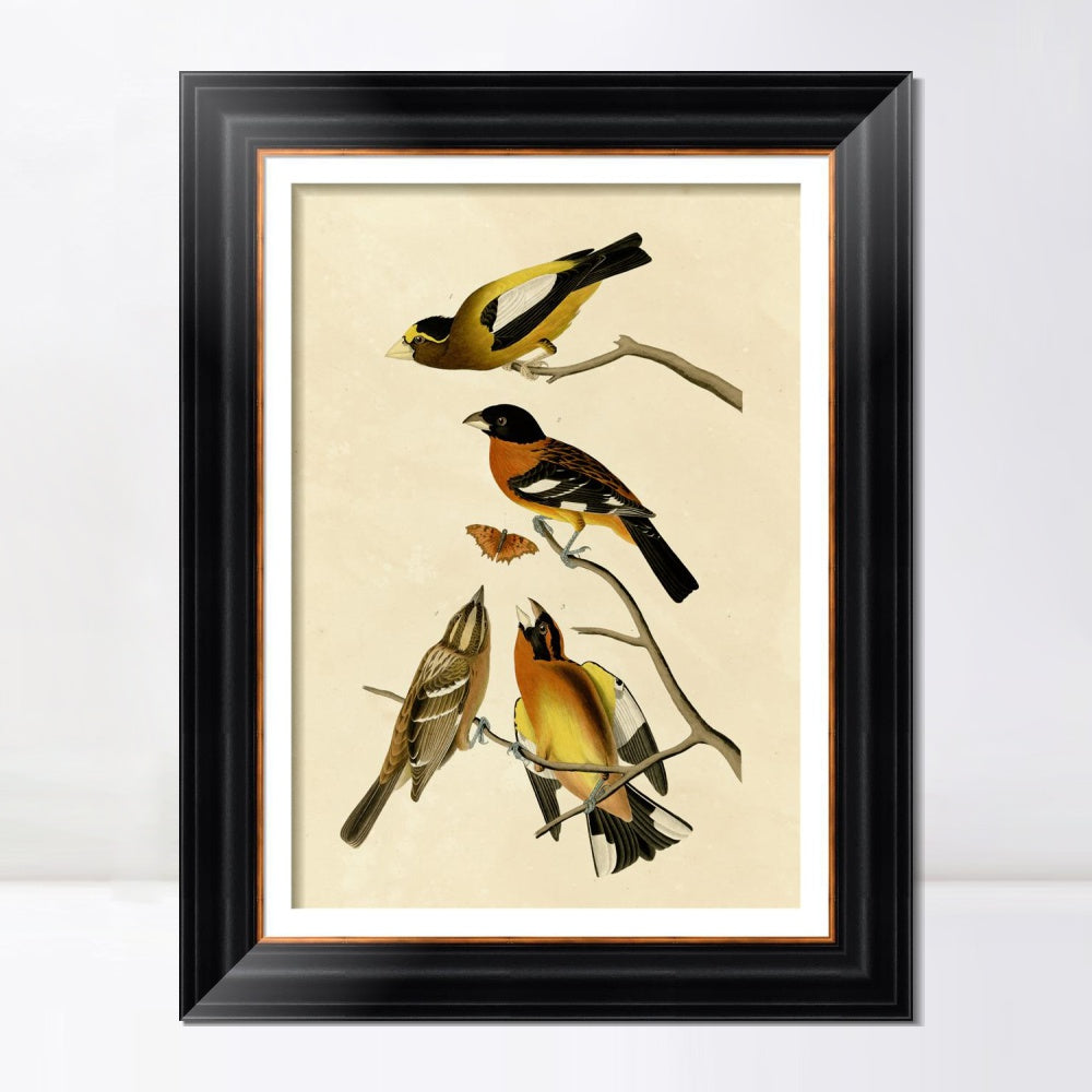 INVIN ART Framed Canvas Art Giclee Print Series#115 by John James Audubon  Home Office Wall Art Decorations
