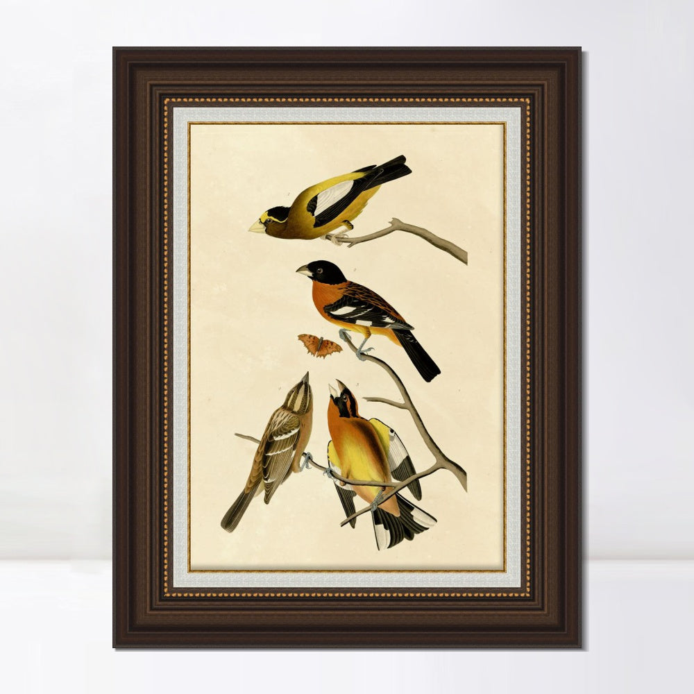 INVIN ART Framed Canvas Art Giclee Print Series#115 by John James Audubon  Home Office Wall Art Decorations